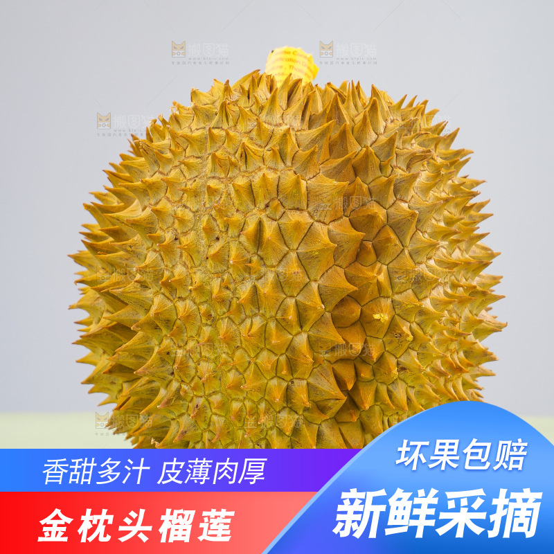 金枕榴莲
