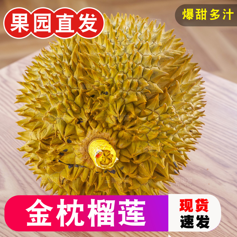 金枕榴莲