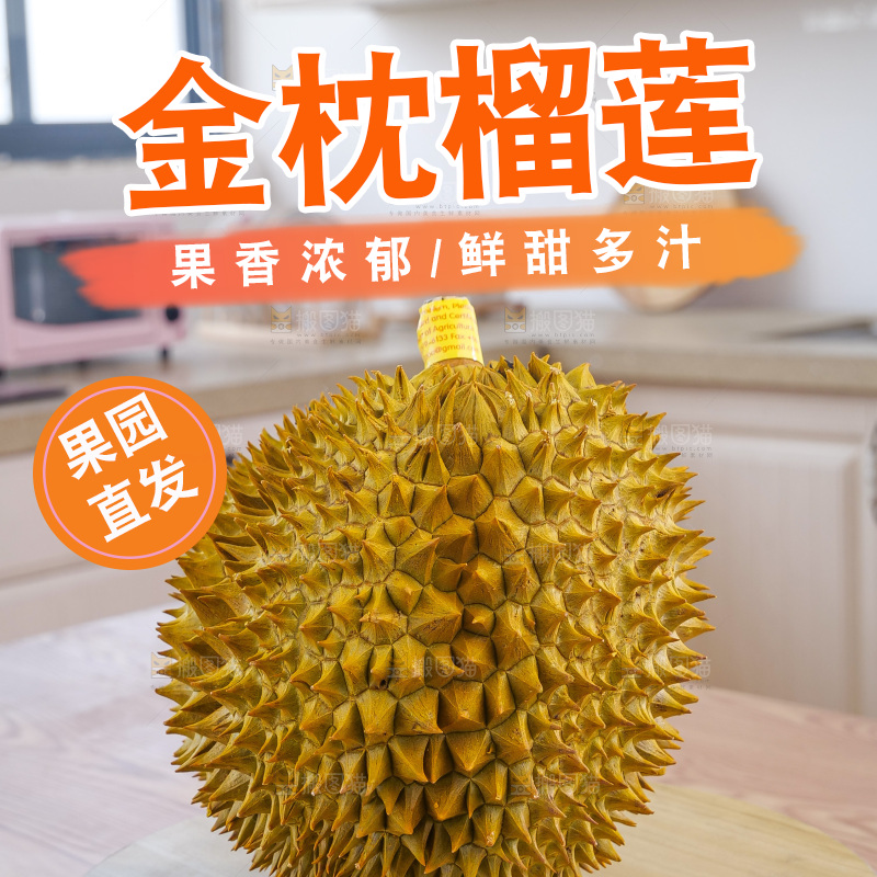 金枕榴莲