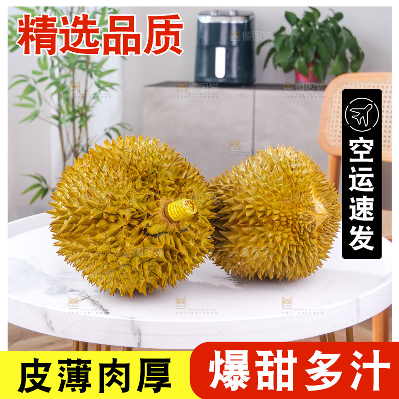 金枕榴莲