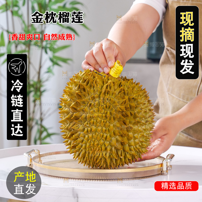 金枕榴莲