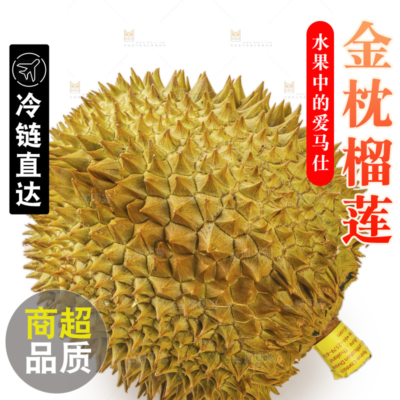 金枕榴莲