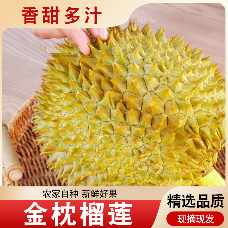 金枕榴莲