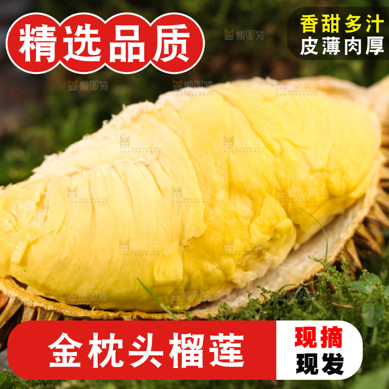 金枕榴莲