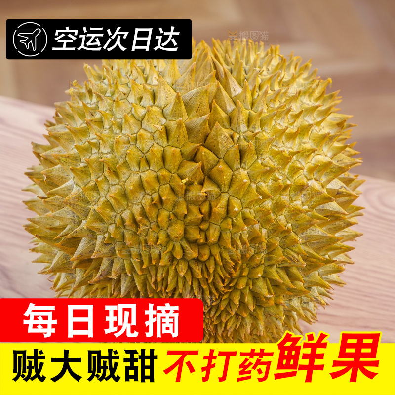 金枕榴莲
