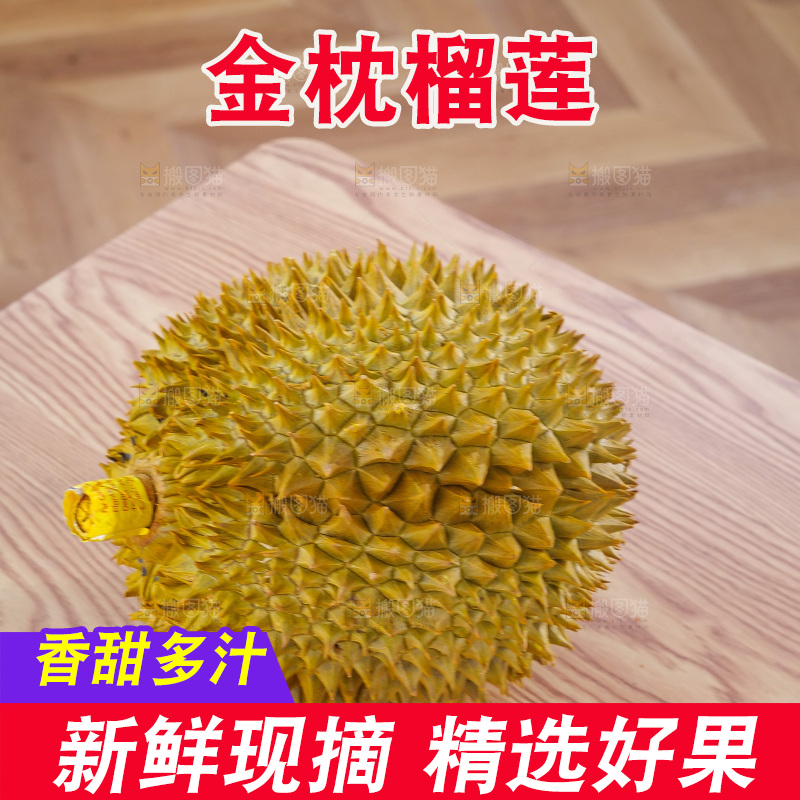 金枕榴莲