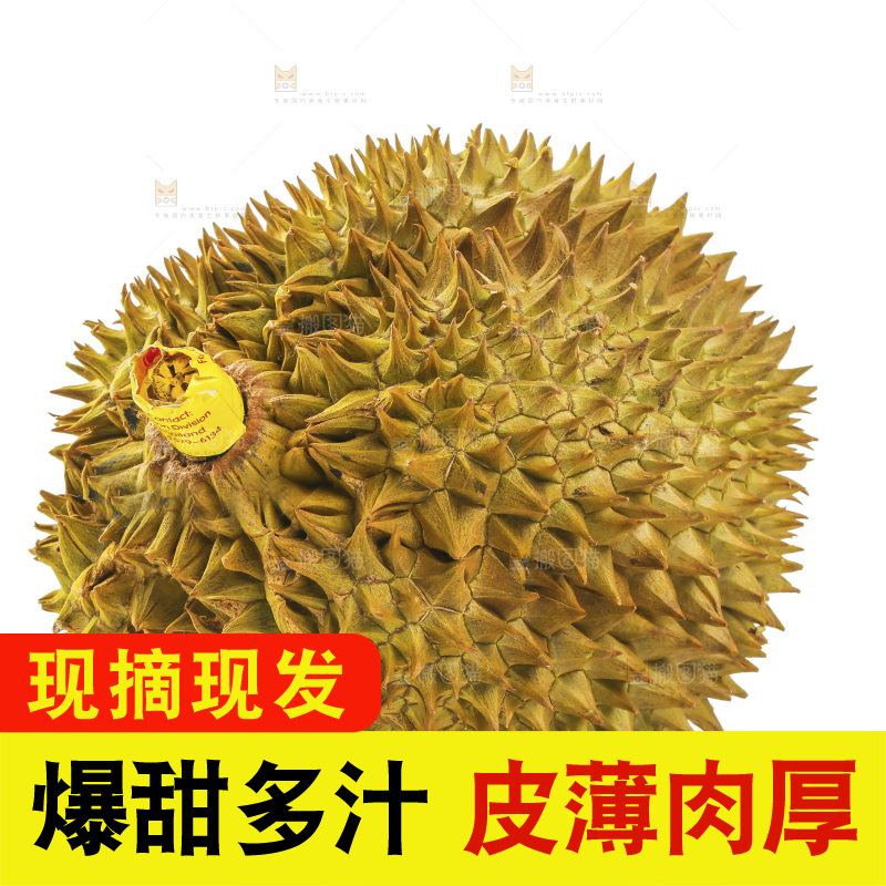 金枕榴莲