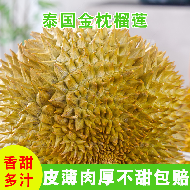 金枕榴莲