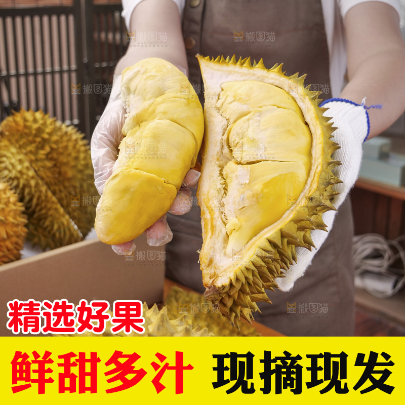 金枕榴莲
