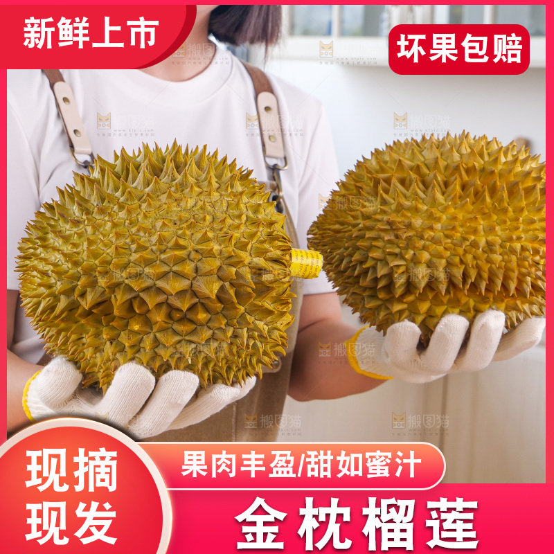 金枕榴莲