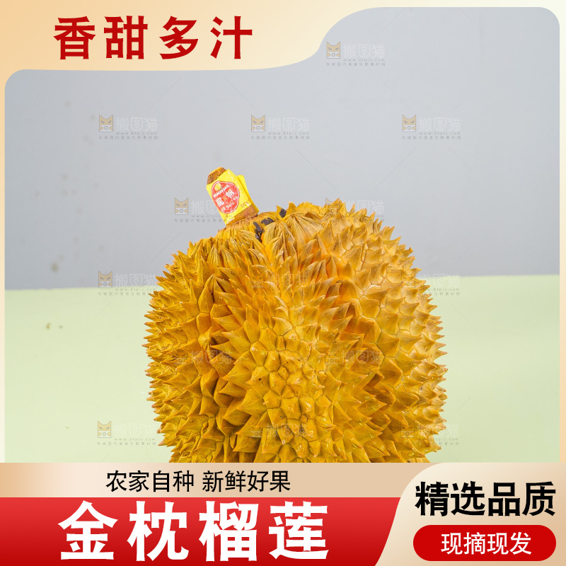 金枕榴莲