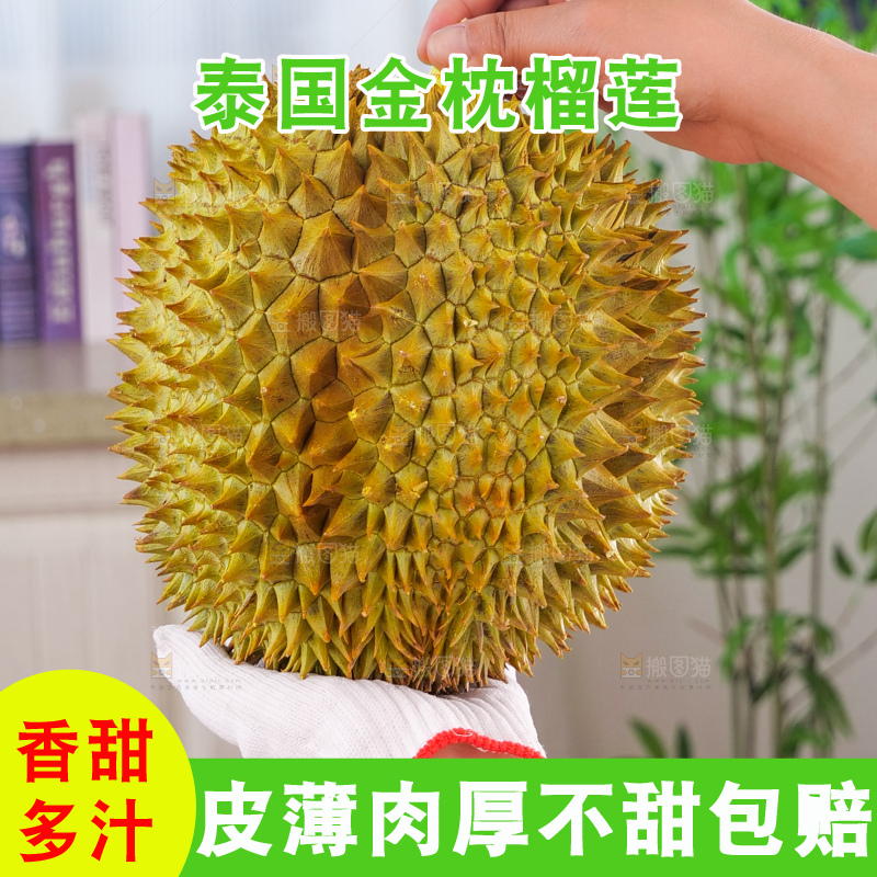 金枕榴莲