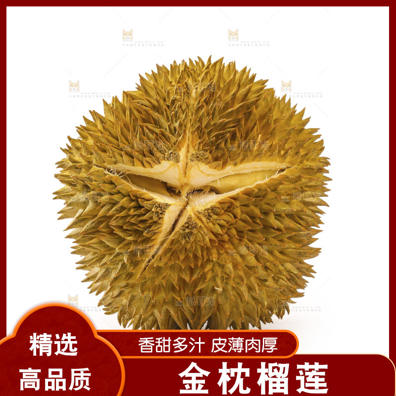 金枕榴莲