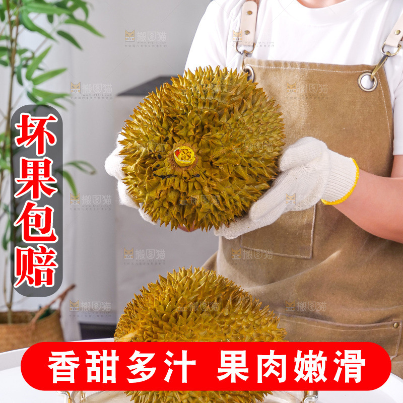 金枕榴莲