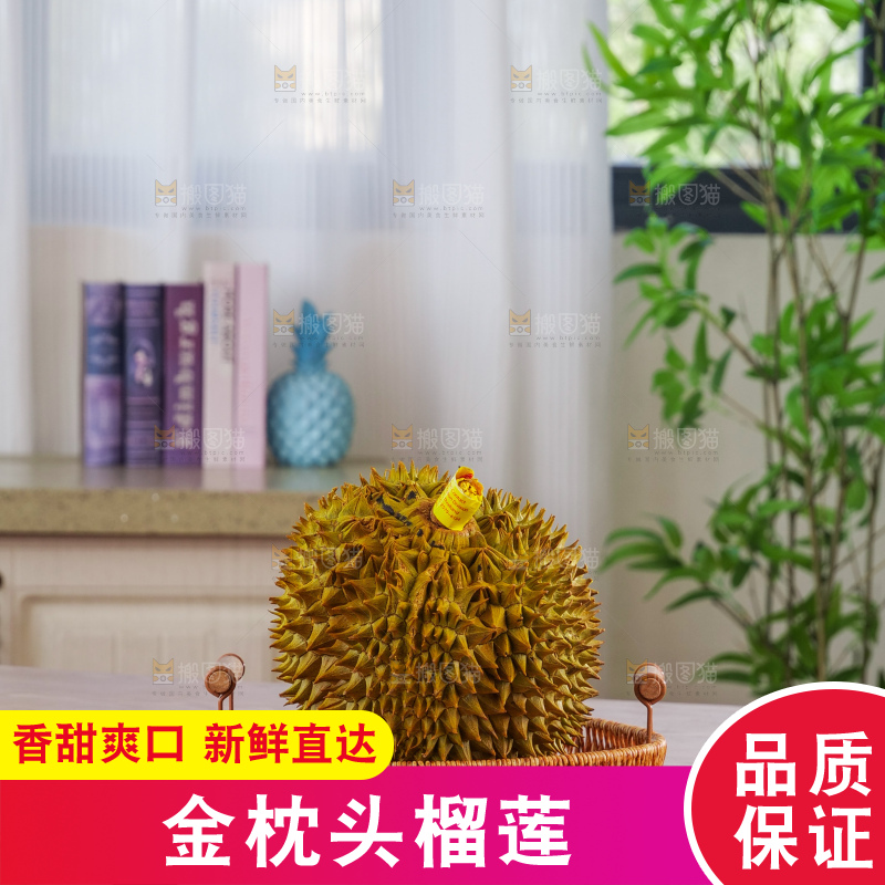 金枕榴莲
