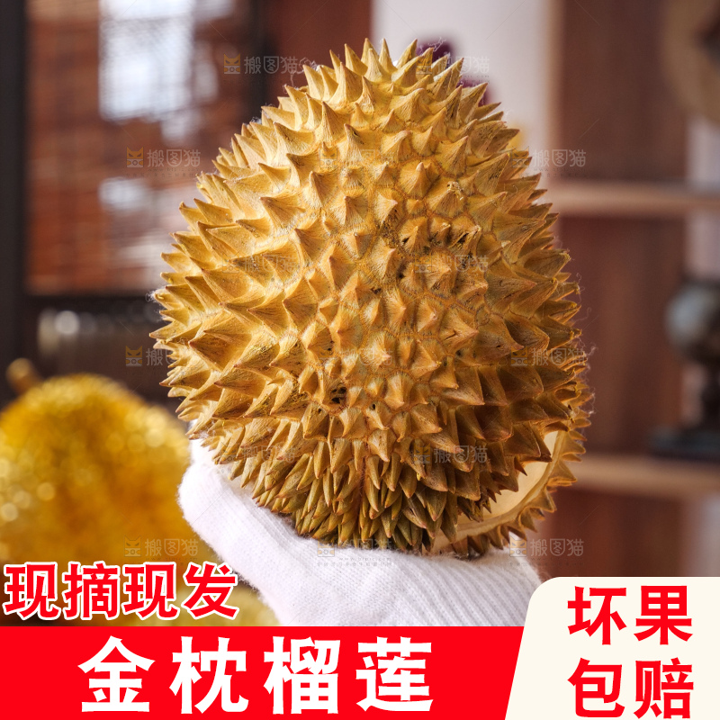 金枕榴莲