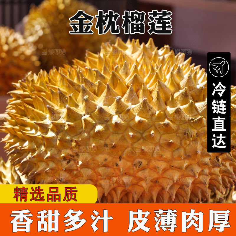 金枕榴莲