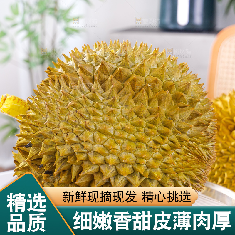 金枕榴莲