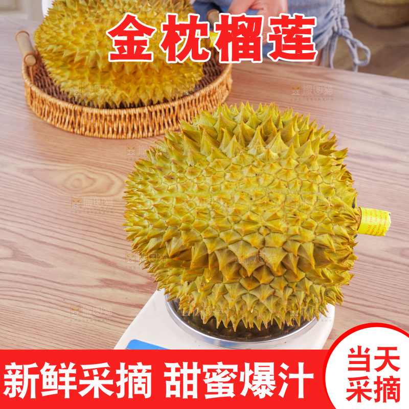 金枕榴莲