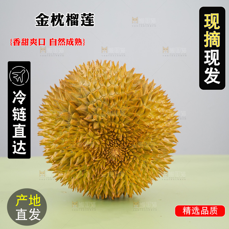 金枕榴莲