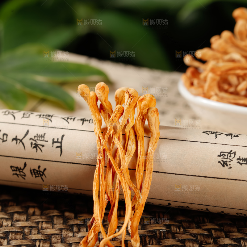 虫草花
