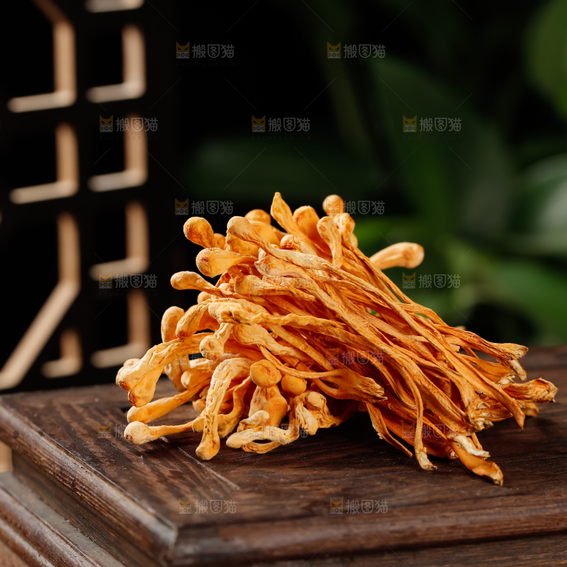 虫草花