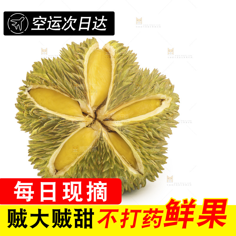 金枕榴莲