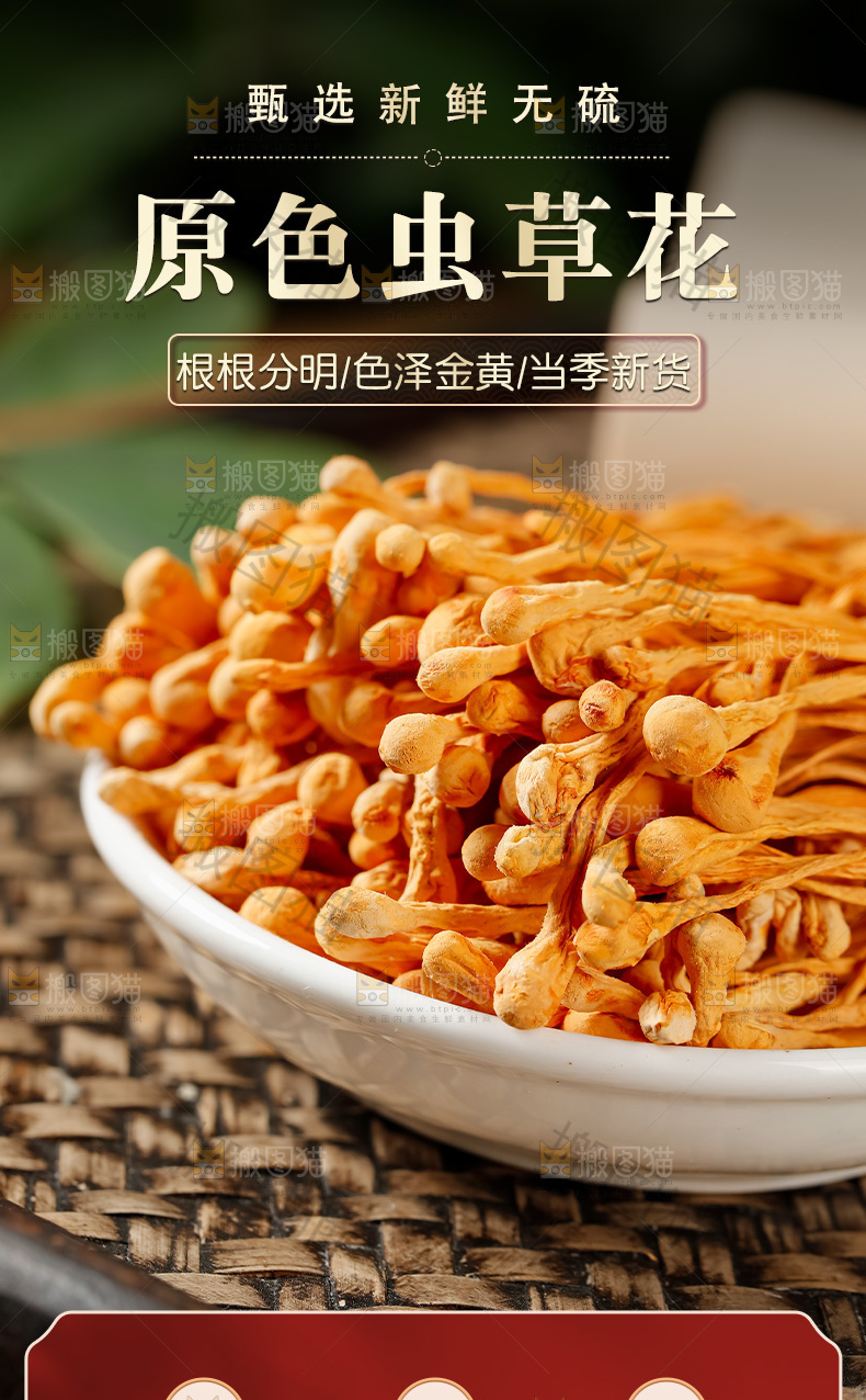 虫草花详情页