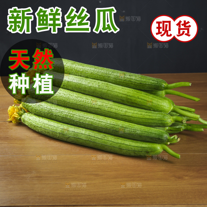 丝瓜