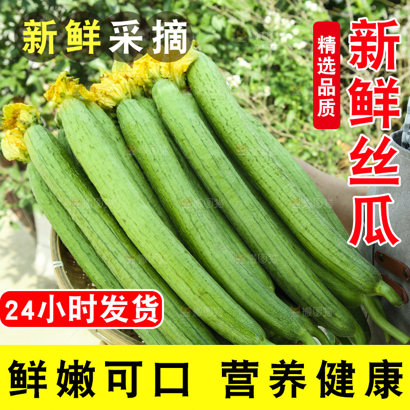 丝瓜