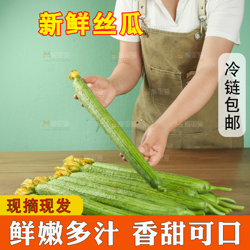 丝瓜