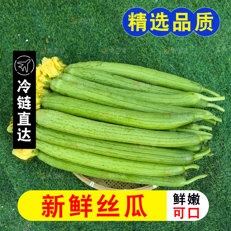 丝瓜