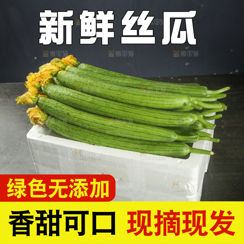 丝瓜