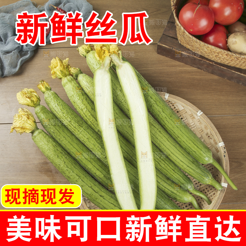 丝瓜