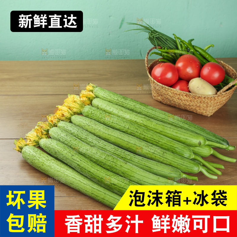 丝瓜