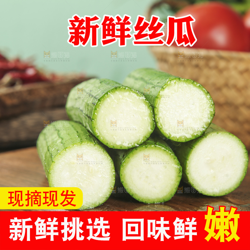 丝瓜