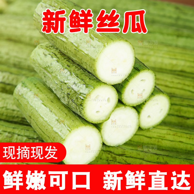 丝瓜