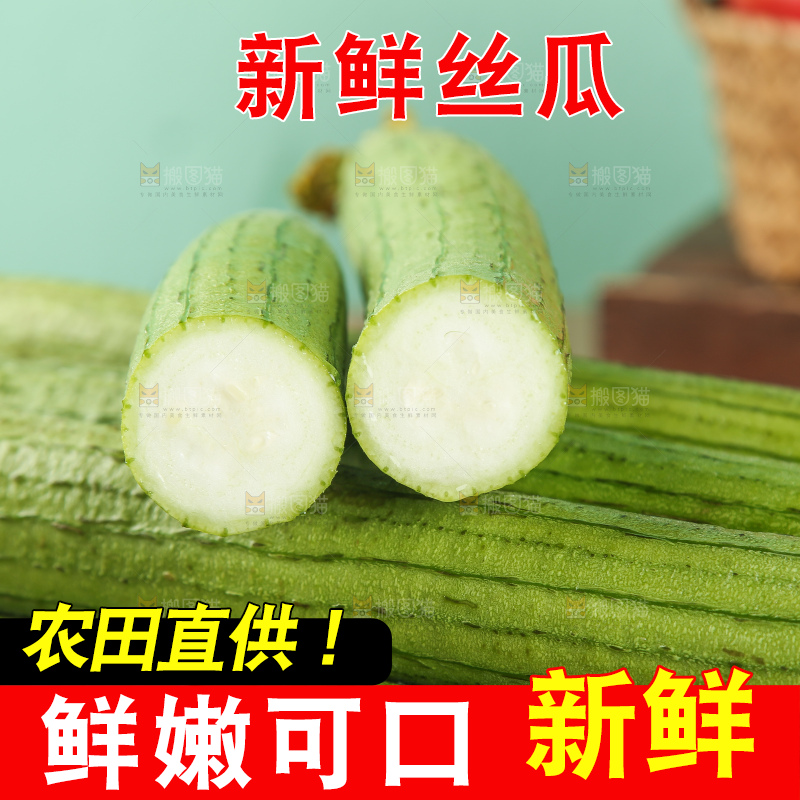 丝瓜