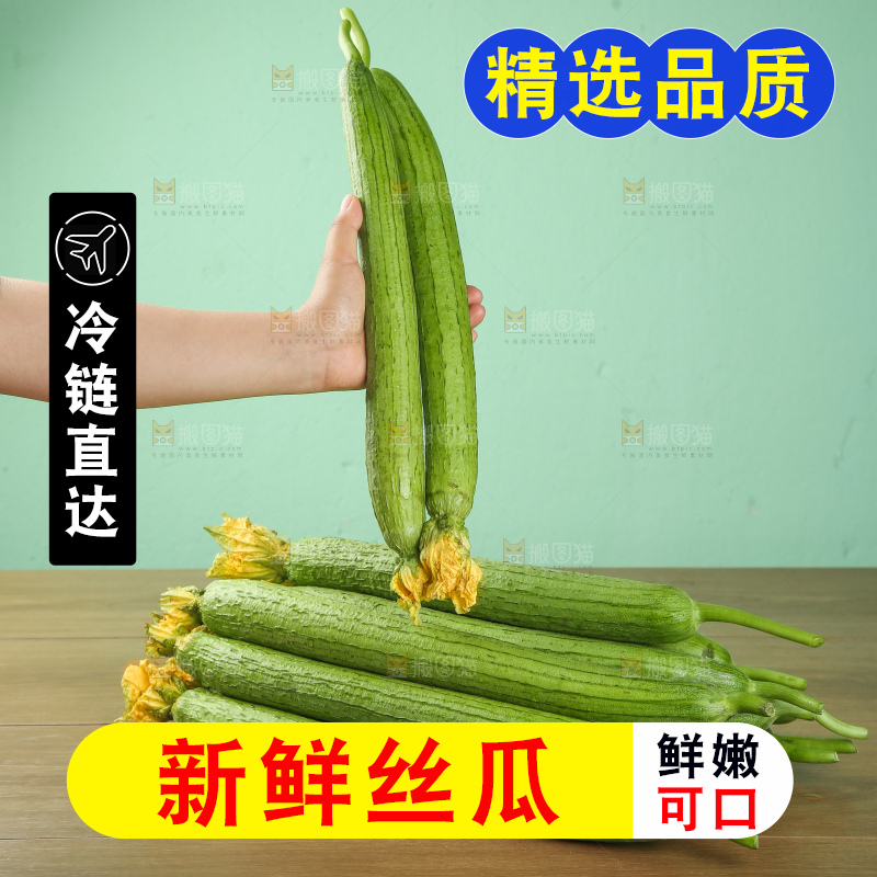 丝瓜