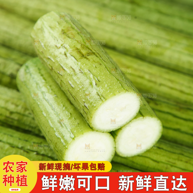 丝瓜