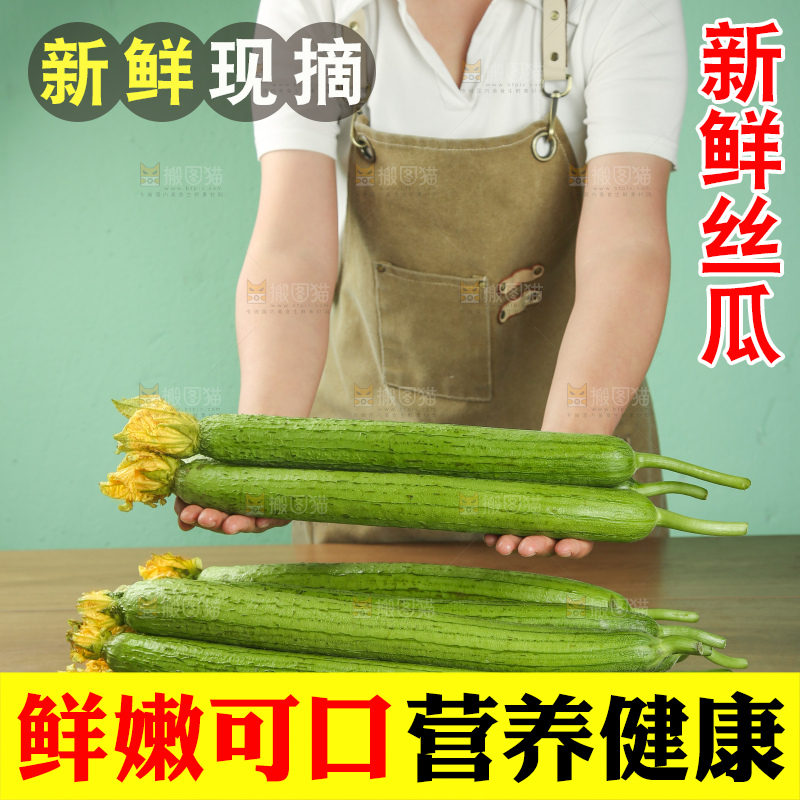丝瓜