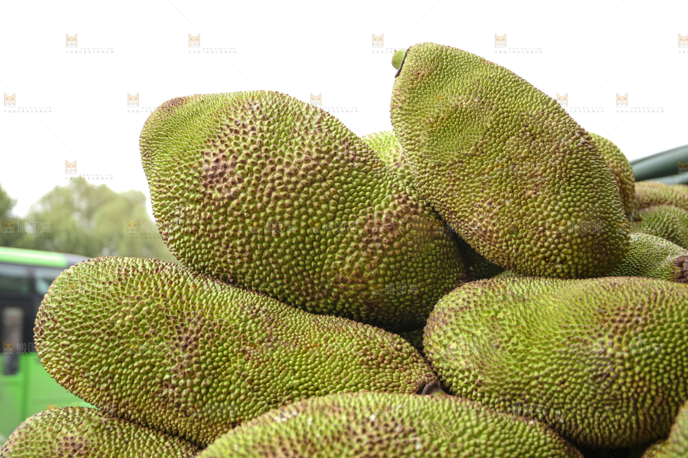 菠萝蜜