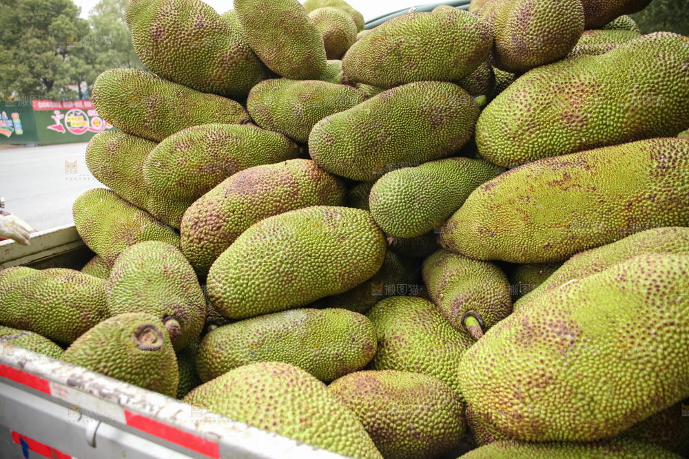 菠萝蜜