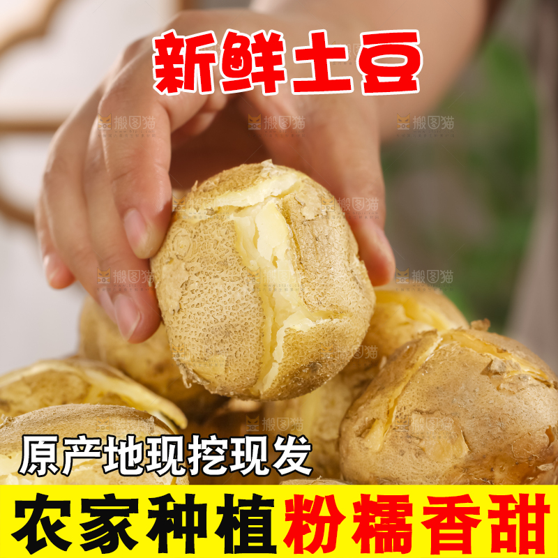 土豆
