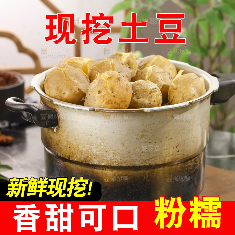 土豆