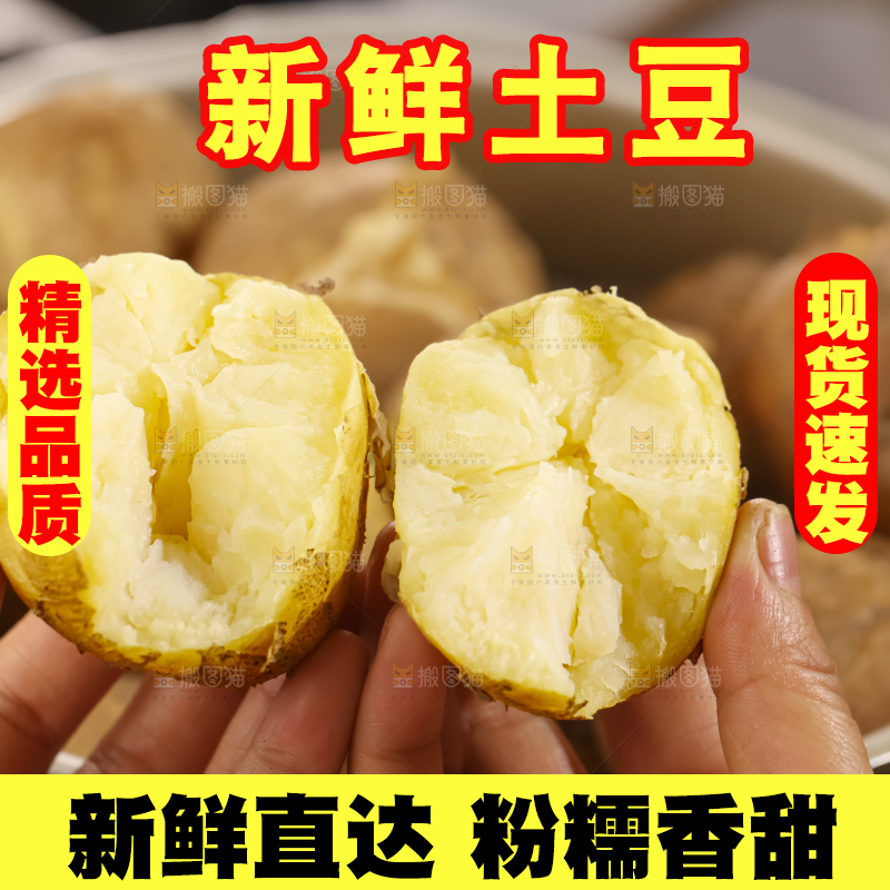 土豆