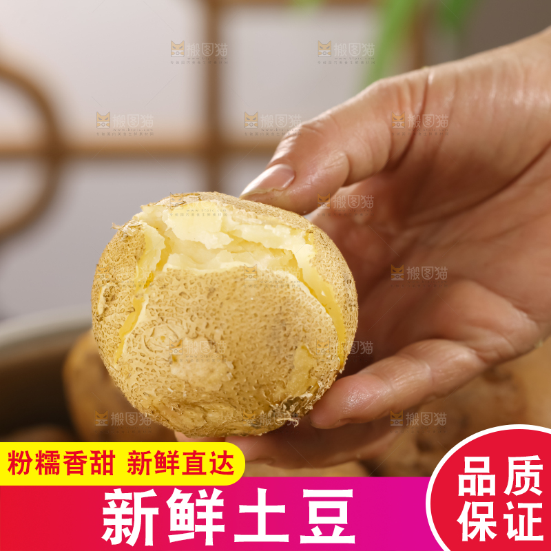 土豆