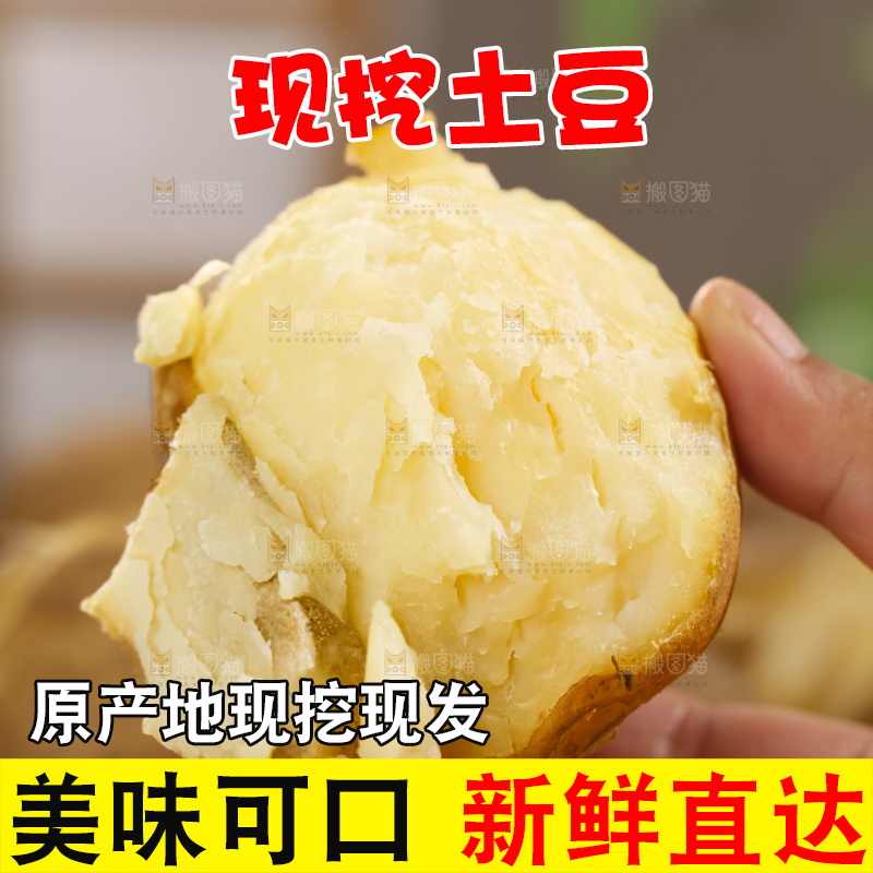 土豆