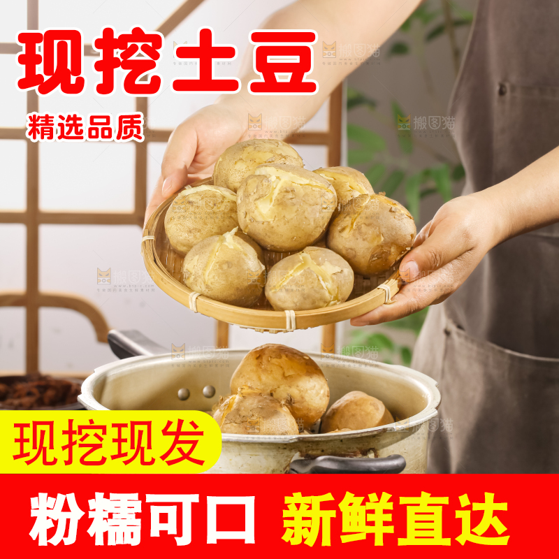 土豆