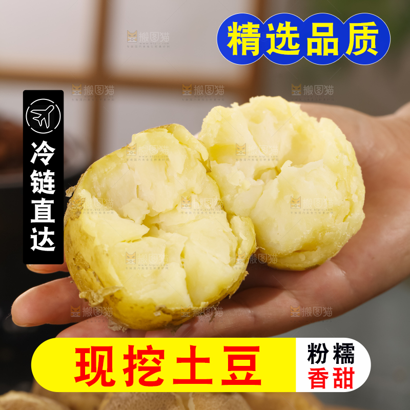 土豆